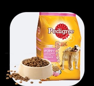 Haýwanat üpjünçiligi