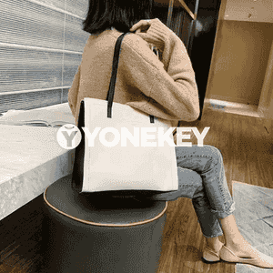 Zenanlar üçin sumka.