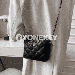 Zenanlar üçin sumka.