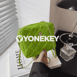 Zenanlar üçin sumka.