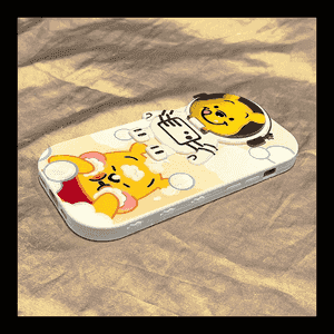 Iphone telefonlar üçin çehol