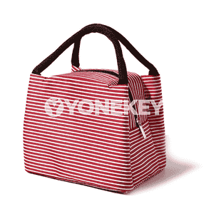 Zenanlar üçin sumka.