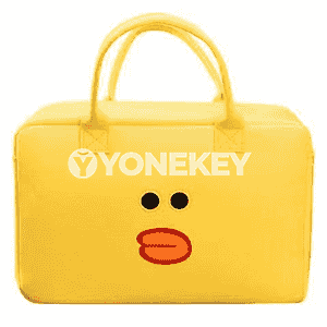 Zenanlar üçin niýetlenen syýasat sumka.