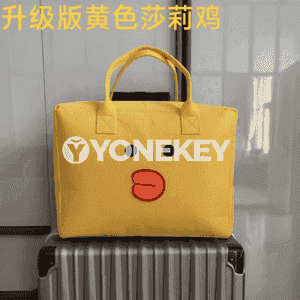 Zenanlar üçin niýetlenen syýasat sumka.