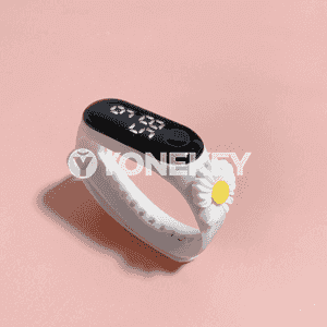 Çagalar üçin goşar sagady.