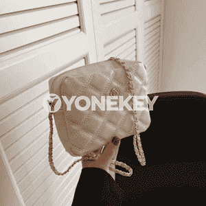 Zenanlar üçin sumka.