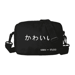 Zenanlar üçin eginden asylýan sumkalary.