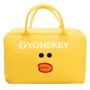 Zenanlar üçin niýetlenen syýasat sumka.