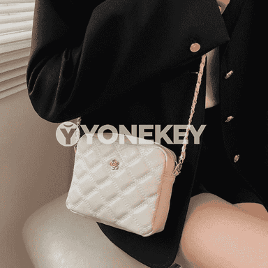 Zenanlar üçin sumka.