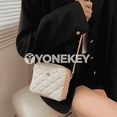 Zenanlar üçin sumka.