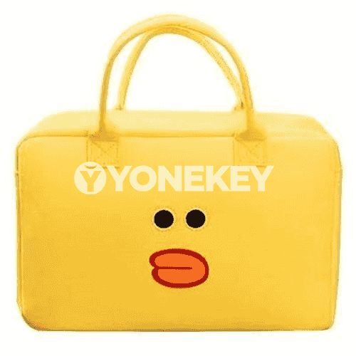 Zenanlar üçin niýetlenen syýasat sumka.