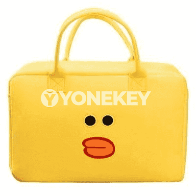 Zenanlar üçin niýetlenen syýasat sumka.