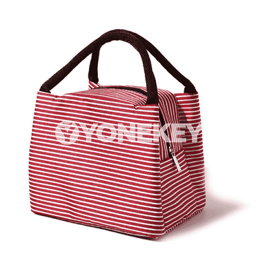 Zenanlar üçin sumka.