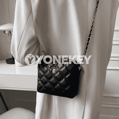 Zenanlar üçin sumka.