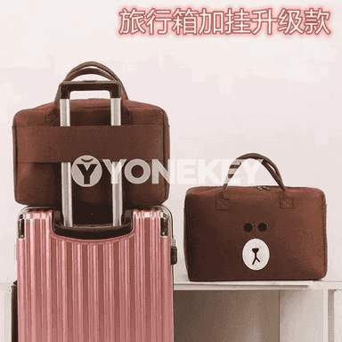 Zenanlar üçin niýetlenen syýasat sumka.