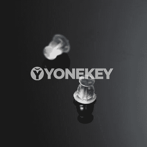 Gyzlar üçin 10 jübüt gulakhalkalara dakylýan silikon.