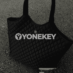 Zenanlar üçin sumka.